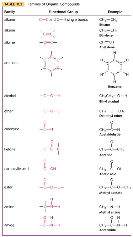 Intro Organic Chem